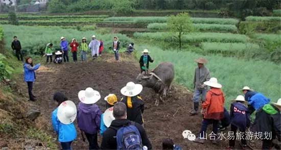 休閑農(nóng)業(yè)+文化，助力鄉(xiāng)村旅游“品味”升級!