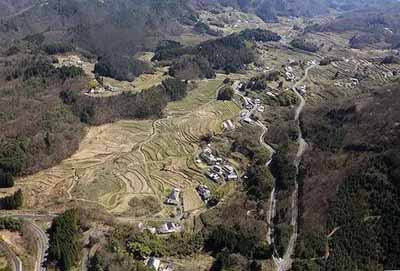 日本大叔進(jìn)深山5年，梯田恢復(fù)數(shù)量高達(dá)1600塊!