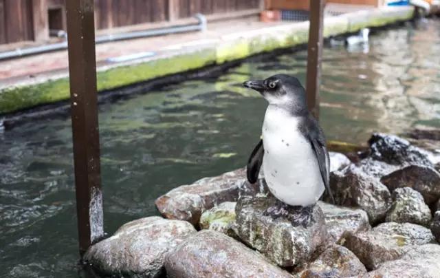 掛川花鳥園