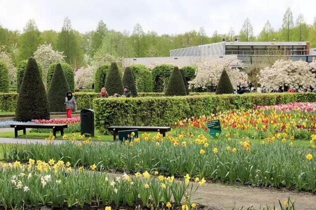 荷蘭庫肯霍夫公園——被譽為“世界上最美麗的春季公園”