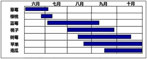 親子農(nóng)業(yè)規(guī)劃,親子農(nóng)園規(guī)劃,親子農(nóng)業(yè)規(guī)劃設(shè)計